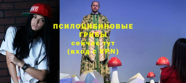 винт Вяземский