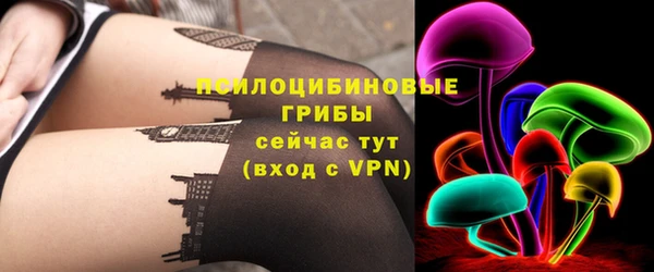 винт Вяземский