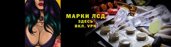винт Вяземский