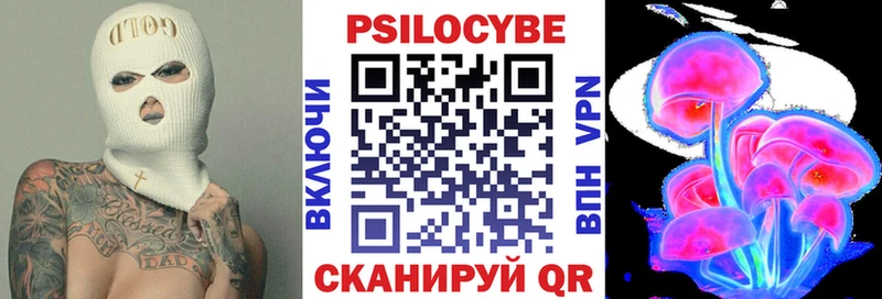 Галлюциногенные грибы Psilocybine cubensis  Купить закладки  Кудымкар 