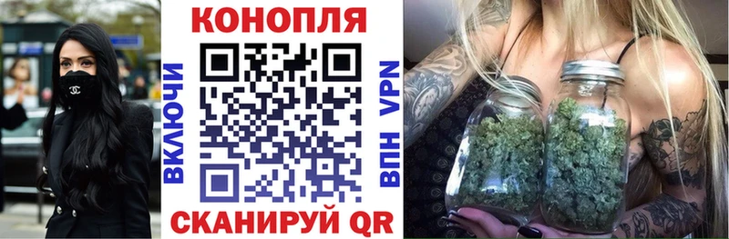 Канабис сатива  Купить  Кудымкар 